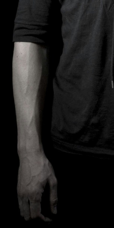 dammitcumberbatch:  indiegirlunited:  cjmindpalace:  Hands… Hands… Hands….  Hand porn, hand porn, hand porn, hand porn, hand porn, hand porn, hand porn, hand porn, hand porn, hand porn, hand porn, hand porn, hand porn.  Fuck, fuck, fuck, fuck, fuck,