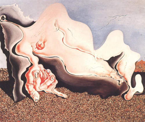 XXX magrittee:  Salvador Dali - Female Bather, photo