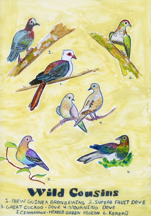 This Is My Color Theory Final! I Made A Pigeon Book!