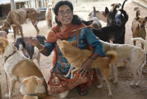 dogjournal:WOMAN SINGLE-HANDEDLY OPERATES DOG SHELTER IN INDIA - “13-year-old Geetha was belte
