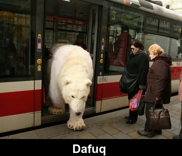 ask-cloud-skipper:Normal day in Russia?