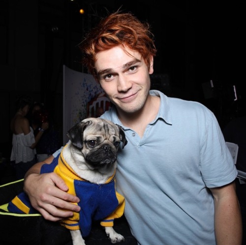 Riverdale’s mascot should be a pug