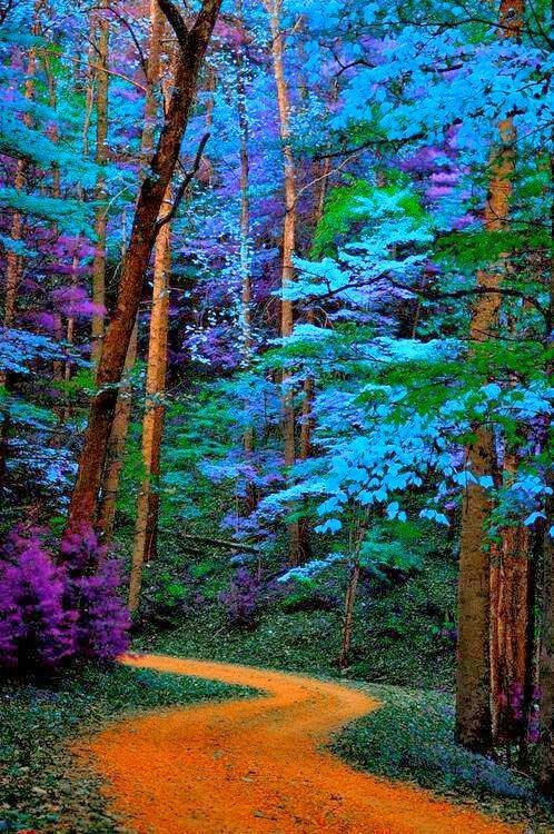 aristippos:  bonitavista:Smoky Mountains, Tennesseephoto via cartc  Aristippos