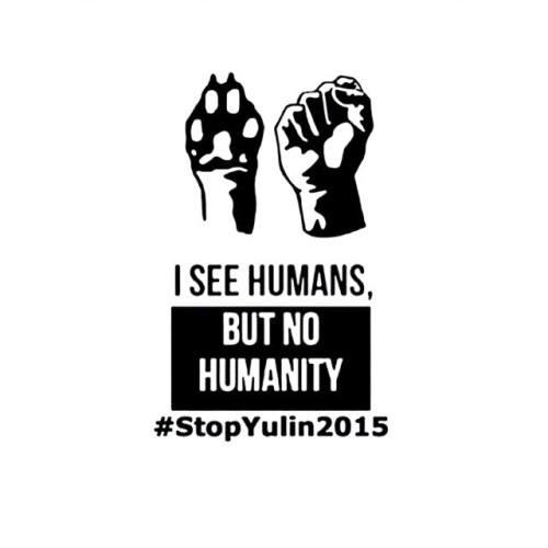 #stopyulin2015 #stopyulin #stopyulinforever #stopyulinfestival #stopyulindogmeatfestival #stop #dog 