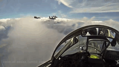 celer-et-audax:  Fulcrum Drivers II - MiG-29 