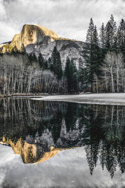 thelavishsociety:  Natural Reflection by Nicole Anthony | LVSH