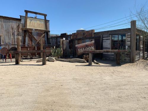 When in the Tree &hellip; Saloon it. #joshuatree #desertvibes #desertsessions #twentyninepalms #land