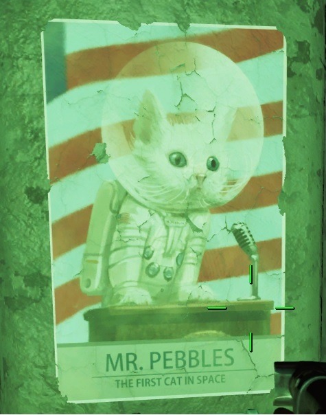 slaughterhousefive:  reblog if you believe in Mr. Pebbles 