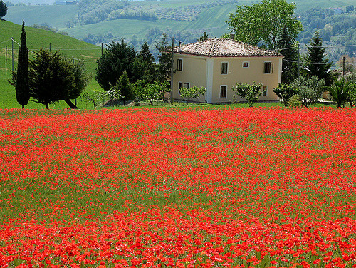 gaia-is-beautiful:  Red camp by Giuseppe Andrea See more at http://flic.kr/p/KPL7j