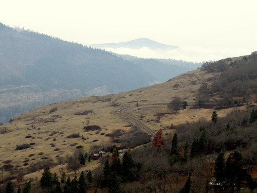 Labyrinth Loop Hike, Washington December, 2013