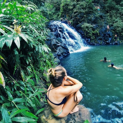 trpicl:  the tropics year round  ❁❁ tropical blog  ❁❁