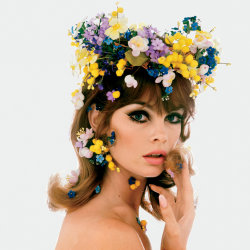 Vogue:  Few Accessories Have Aroused Such Commentary, For And Against, Than The Flower