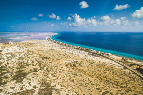 atroy9:  Bonaire, Caribbean. Photo by: www.andytroy.nl atroy9.tumblr.com  xx