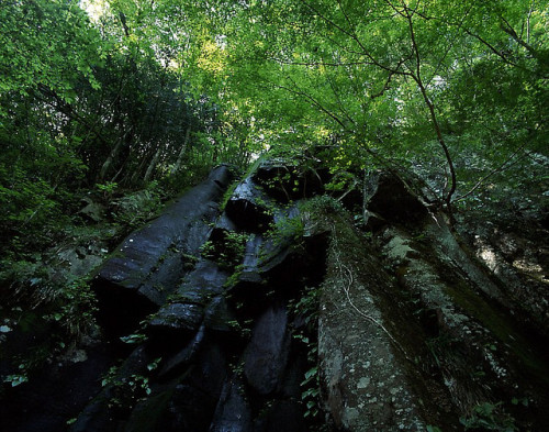 12snakes: 雨降滝 (赤目) by onlb06s on Flickr.