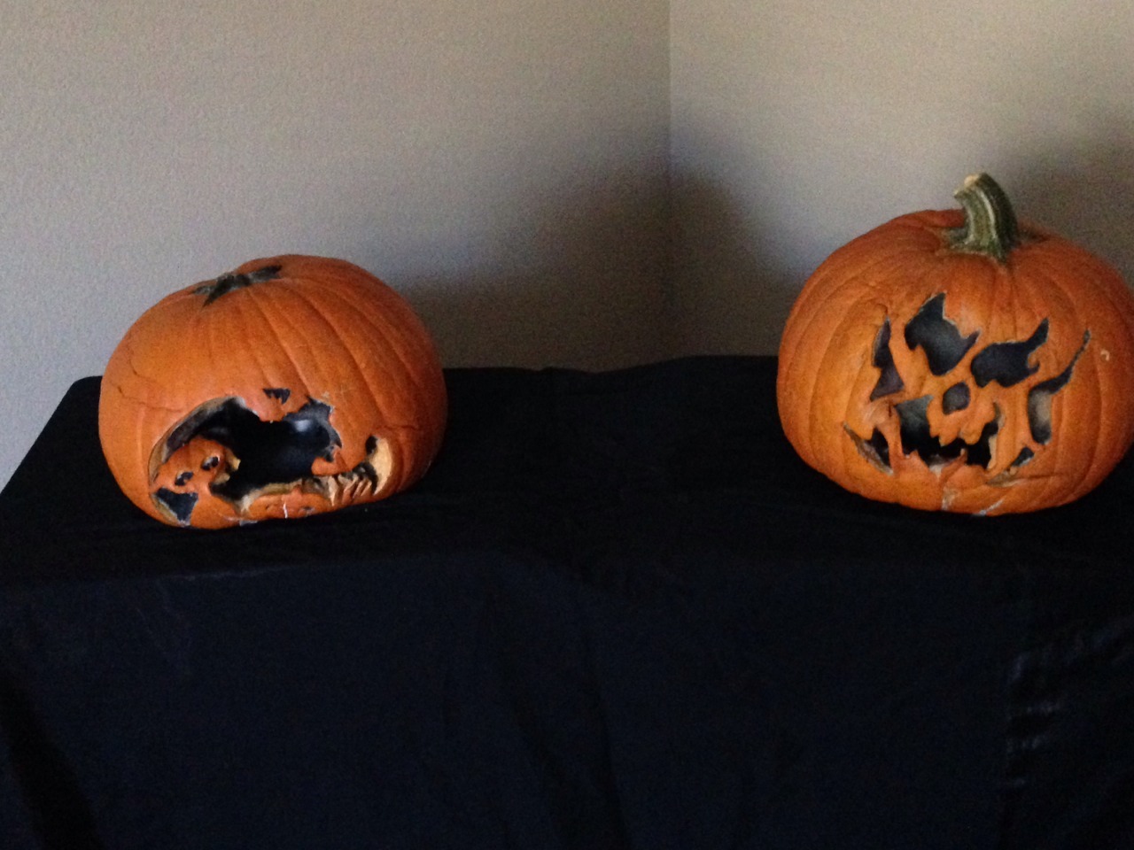 Ok, I am seriously bummed out. Our pumpkins didn&rsquo;t make it long enough