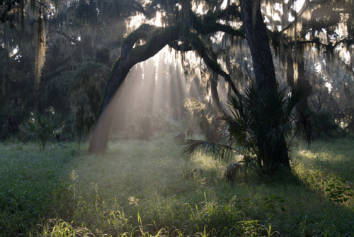 90377:9-8-18 Morning Fog by Mike DeLoye