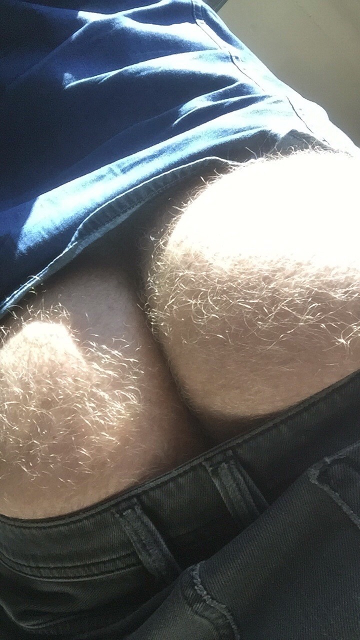 Porno Hound