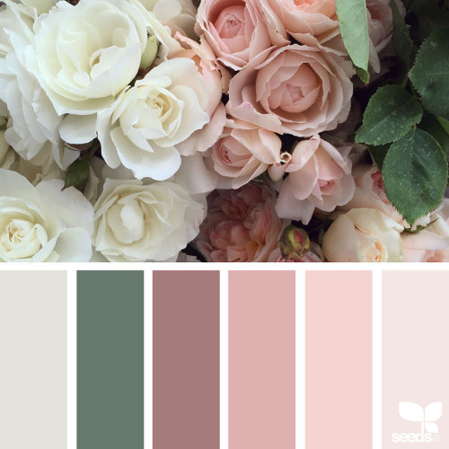 foodffs: Nature-Inspired Color Palettes AKA Design Seeds For Designers, Crafters And Home Decorators