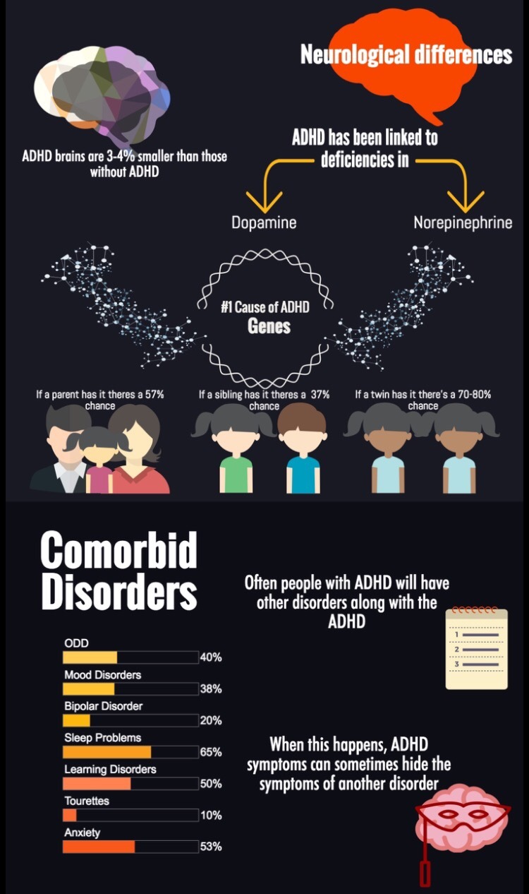 finally-a-realistic-studyblr:Here’s a clearer version of my ADHD info graphic Happy