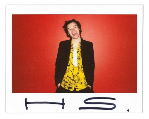 thedailystyles:columbiarecords: Congratulations to @HarryStyles on the release of #SignOfTheTimes! L