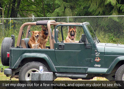 tastefullyoffensive:  &ldquo;Get in loser, we’re going to Petco.&rdquo;