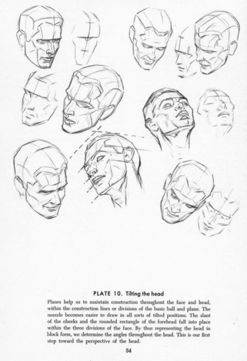 deepredroom:   How to draw heads. Good advice. I used to draw the head as one shape, put splitting it up into two, the cranium and the jaw, makes getting the shape right much easier. 