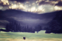  Scouting Legion Members and their strategic positions 