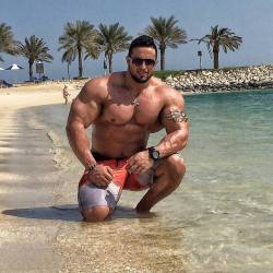 dragon86xxx:  abdelaziz jallali (@hulk_moroccan)