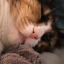 andyposts-poststoshowandy