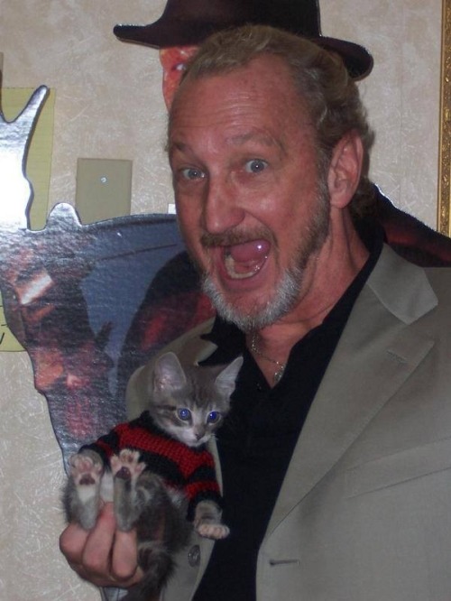horror-movie-confessions:ROBERT ENGLUND HOLDING A LITTLE BLUE EYED KITTEN THAT IS WEARING A FREDDY K