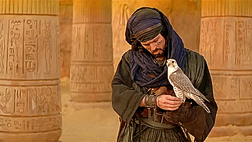 I'm Just A Girl...standing In Front Of The Tumblr Gods....asking For More Ardeth Bay Fanfics.