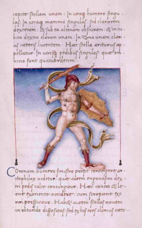 Constellation of ArctophylaxMiniature on vellum by Giovanni VendraminPadua, 1475–80The New York Publ