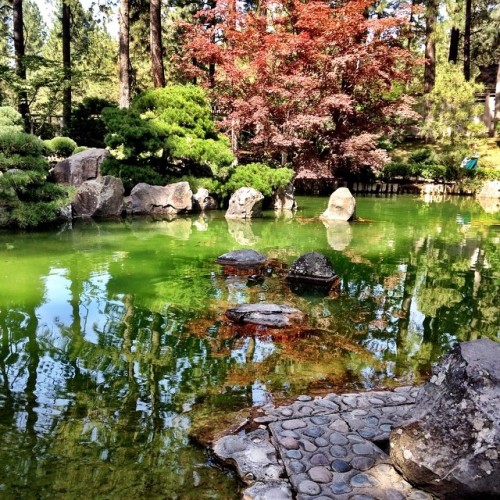 Not jewelry or bead related but I had to share a pic from the Spokane Japanese Gardens. So gorgeous.