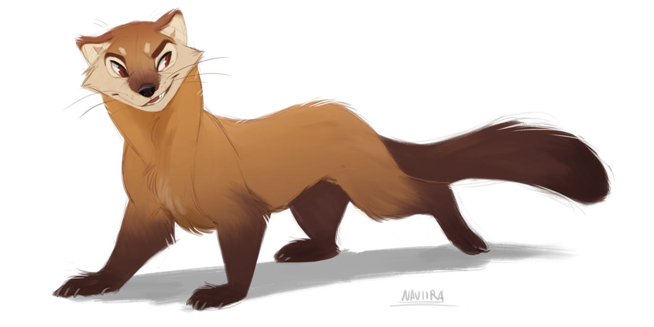 A Pine Marten! Aka: squirrel assassins of the forest. I love sketching these little dudes.