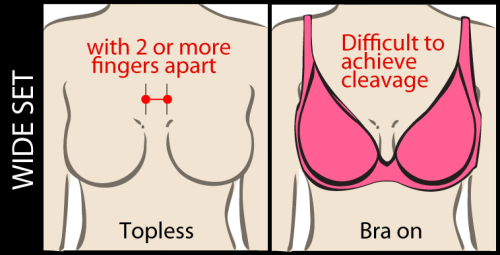 widesettitties:What to look for when trying to get with a tasty lady with a wide set pair of boobs. 