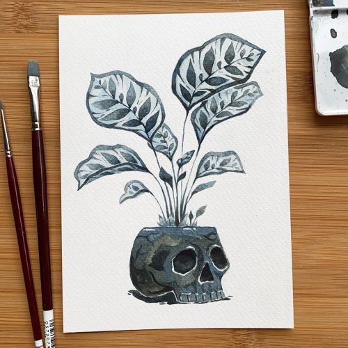 Skulls and Calatheas ☠️ I think this is my fav that I’ve painted so far . . . #inktober #inktober20