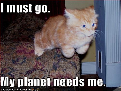 seananmcguire: sophiaslittleblog:  tzikeh:  owl-librarian:  sasgalula:  coolcatgroup: