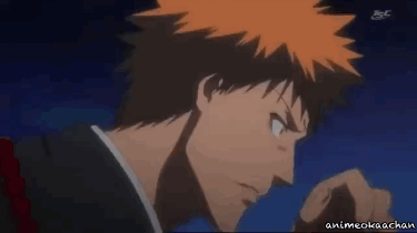 animeokaachan:  Some of Ichigo’s “Rukia”/”Rukiaaaarrrggghhh” moments….
