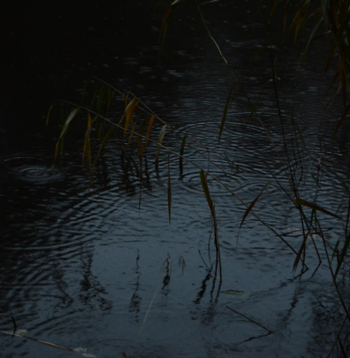 liselotte-e: Åkersberga Kanal, Sweden.