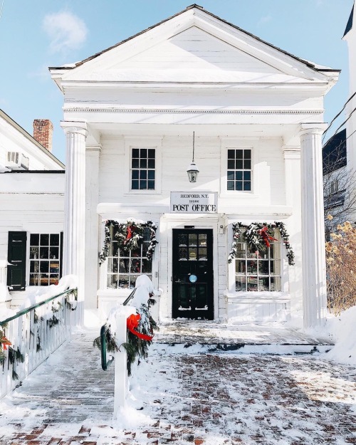 Bedford, New York&hellip; how cute are you? (via #stephstell @instagram)