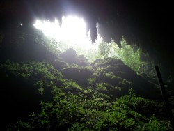 teh4n631:  Cavernas del Río Camuy