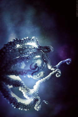 expressions-of-nature:  “Catch the Stars&ldquo; Octopus by Dennis M. 
