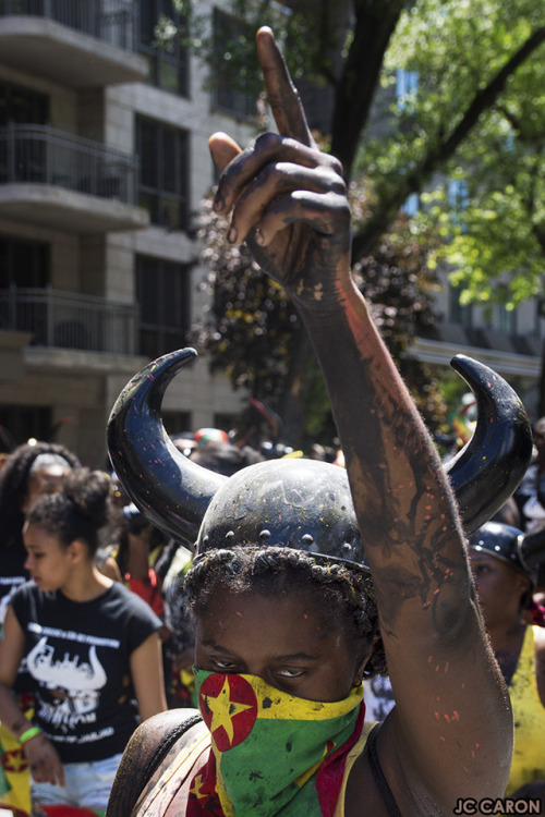  La Carifiesta est une fête toute en couleurs et en musiques qui rappelle l'ambiance des Caraïbes un