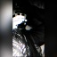 undergroundkingn2