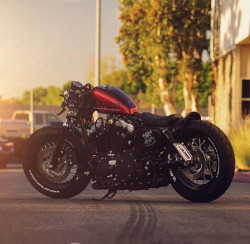 bobberinspiration:  Sportster