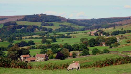 Farmland, North York Moors, England.