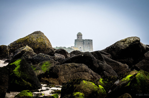 Ile de Tatihou, Normandie, France