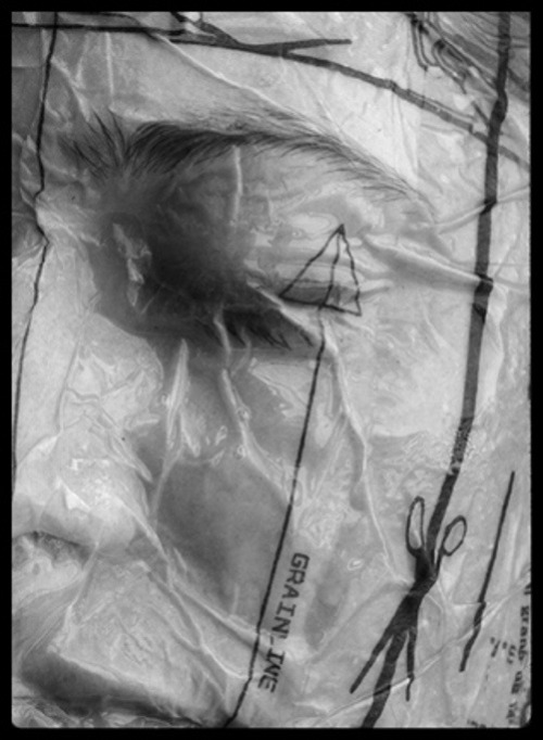 thule2009.tumblr.com/post/52068854155/