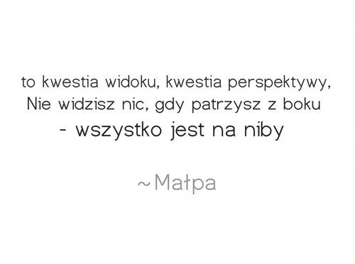 Witaj przybyszu!