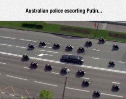 daily-meme:  Alright Guys, The Putin Formation.